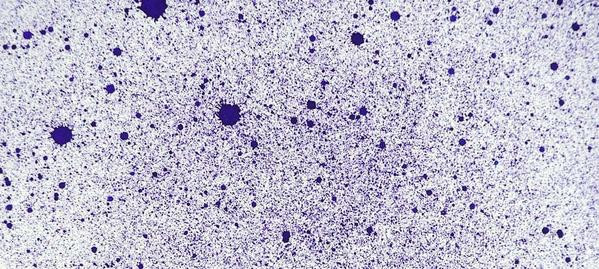 Cosmic Shimmer Airless Mister - Blackberry Bliss