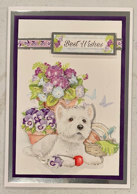 Live StreamSpringtime Wishes Deco Large Puppy Playtime-- Makes 6