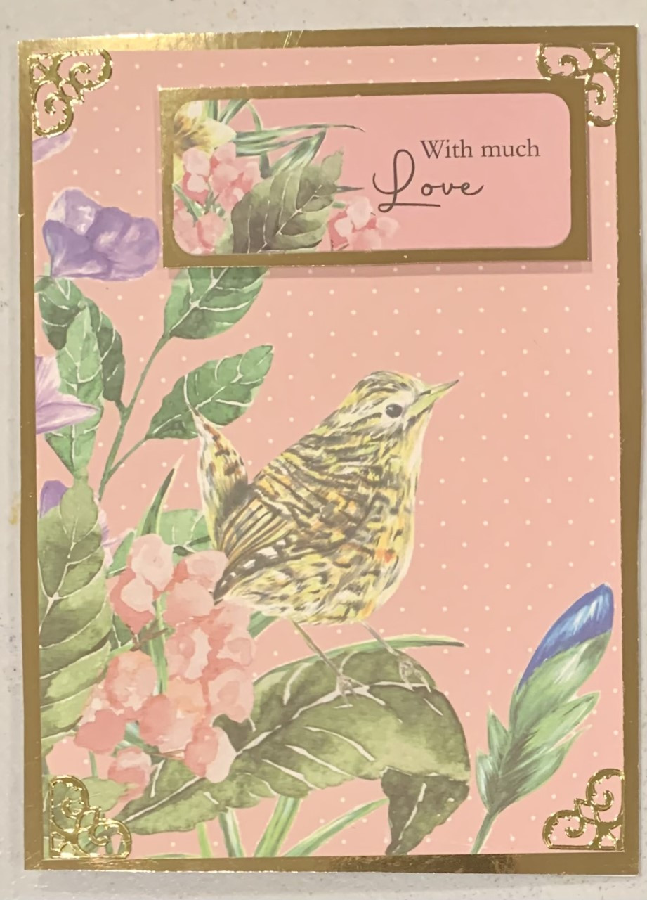 Live Stream Kanban Song Bird "Use Your Stash" Class Kit