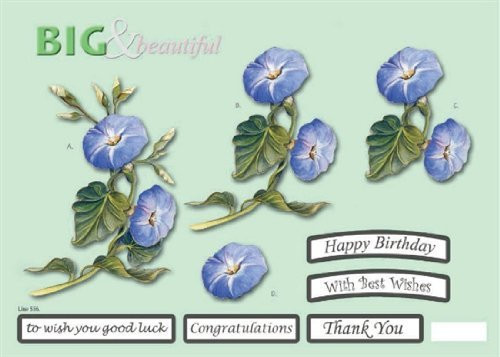 Craft Uk Big & Beautiful- Morning Glory