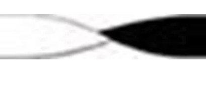 Quilled Creations 1/8" Highlight Quilling Paper - 50 White & Black Quilling Paper