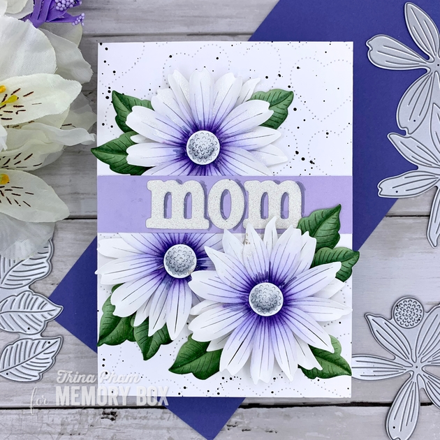 Memory Box Slim Pinpoint Heart Plate 94550 Cutting Die 100% Steel