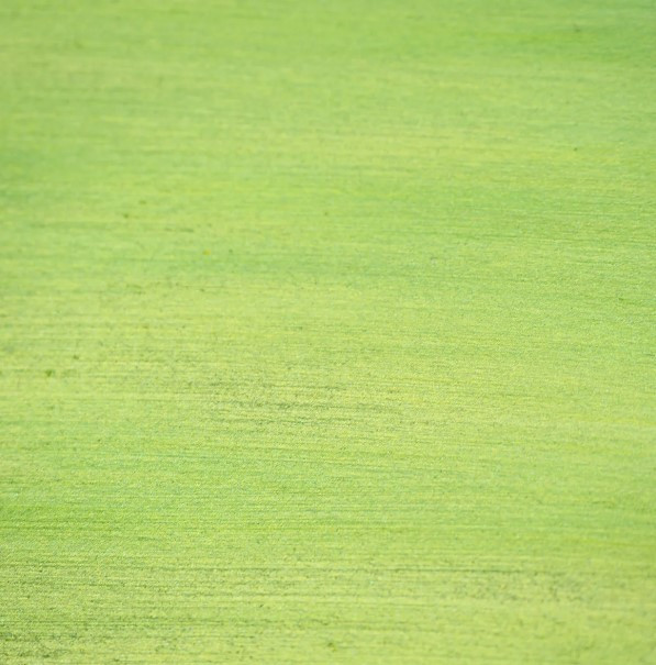 Pink Ink Designs- Wax Lyrical- Apple Pie