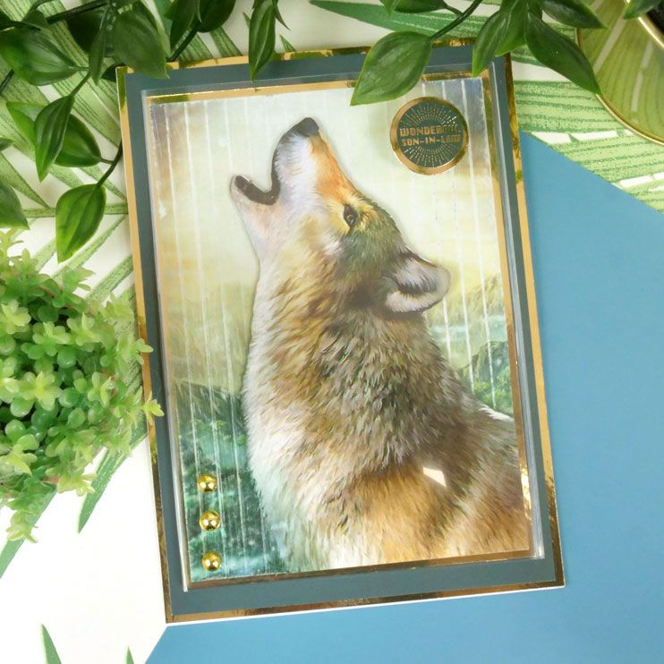 Hunkydory Little Book of Into the Wild A6 Style