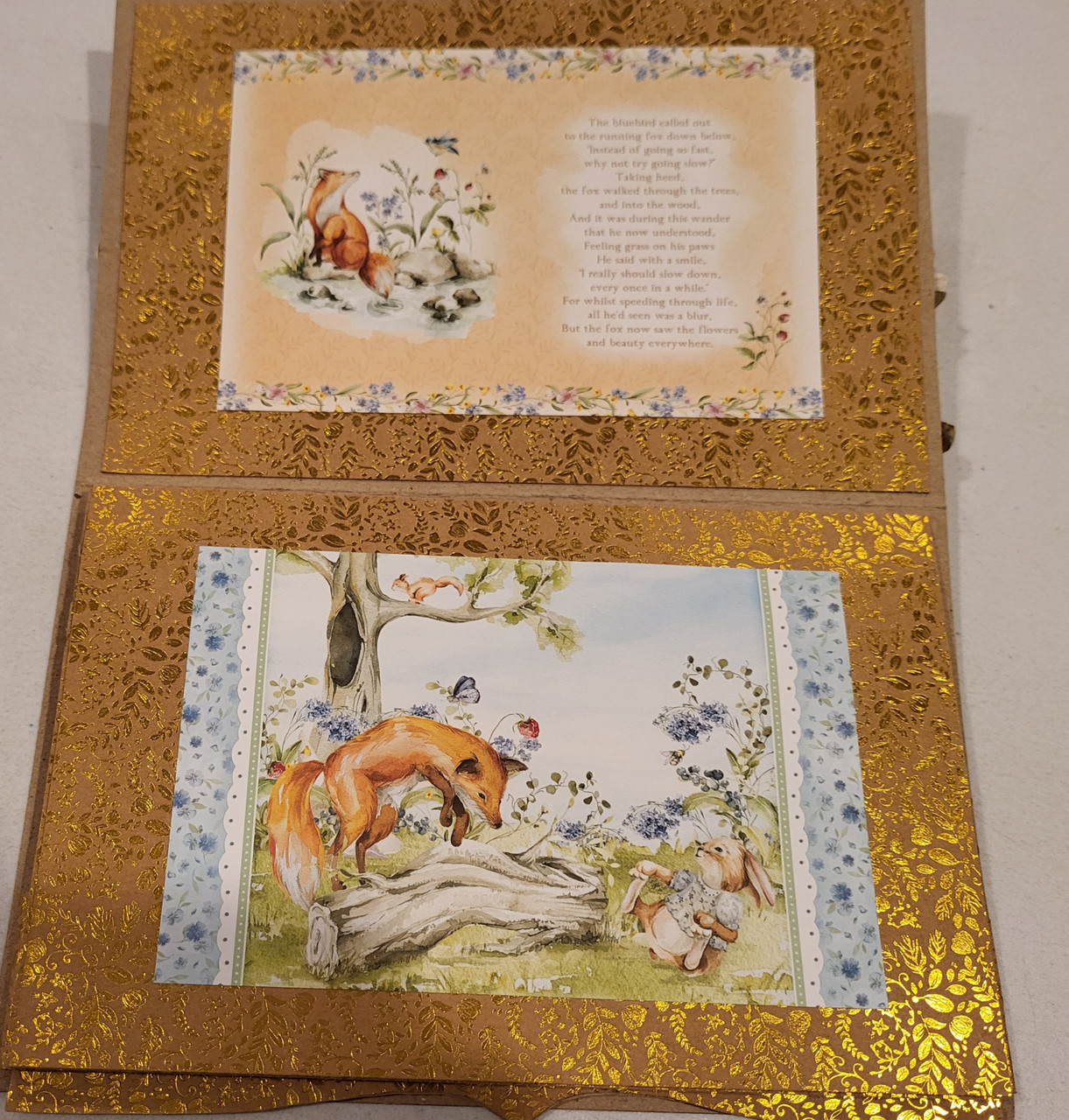 Live Stream Storybook Woods Waterfall Book