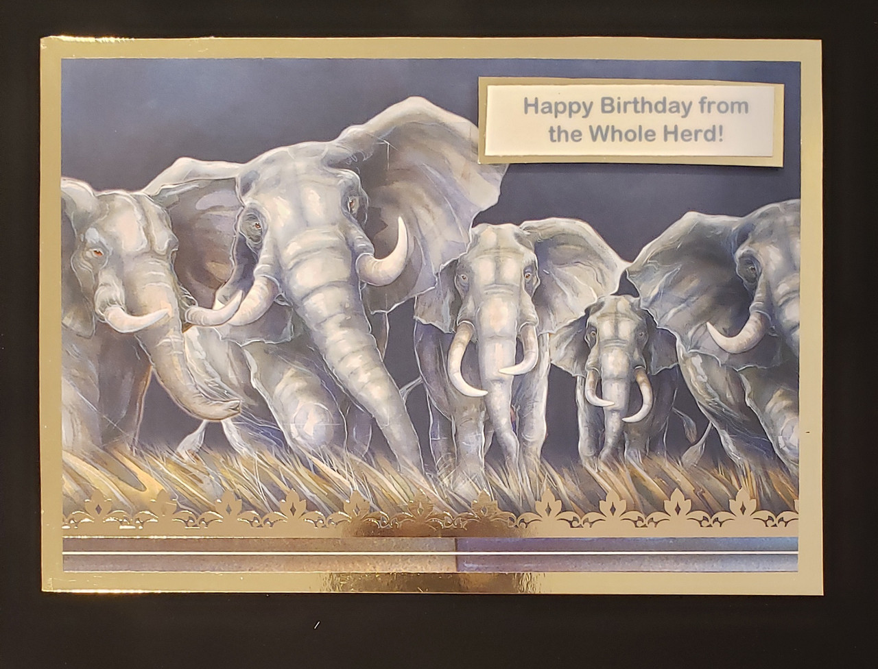 Live Stream Work Along Class Kit -- Hunkydory Animal Kingdom -- Wild at Heart - 7 CARDS! (Thur July 1st)