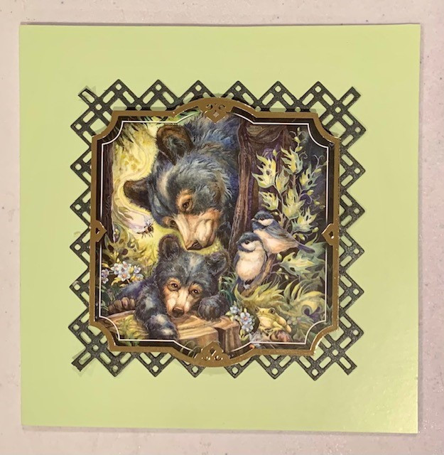 Live Stream Work Along Kit -- Hunkydory Animal Kingdom -- Stay Wild Bear Cards! (Sat, July 3rd)