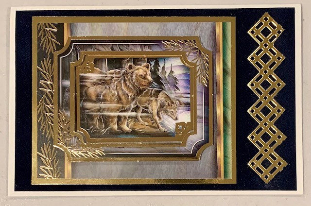 Live Stream Work Along Kit -- Hunkydory Animal Kingdom -- Stay Wild Bear Cards! (Sat, July 3rd)