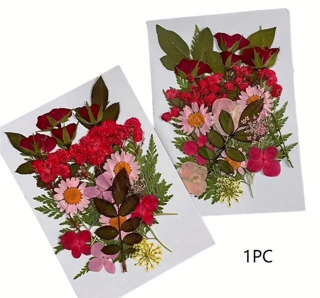 Pressed Plants Rose Pink Mix Pressed051