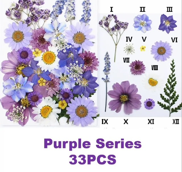 Pressed Plants 33pc Mixed Purples Pressed046