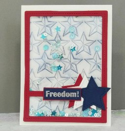 Frantic Stamper Cutting Die- Star Shaker & Frame