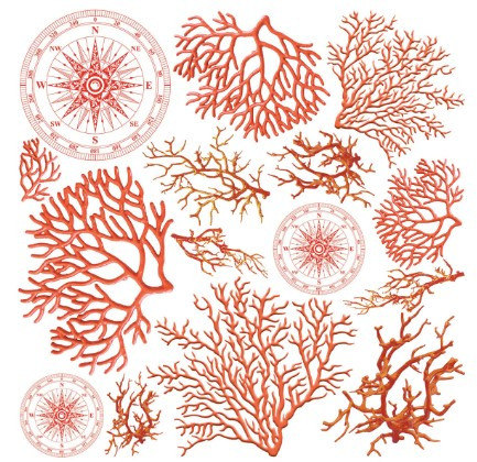 Ciao Bella Vellum Fussy Cut 6x6 Papers 6/pkg - Coral Reef