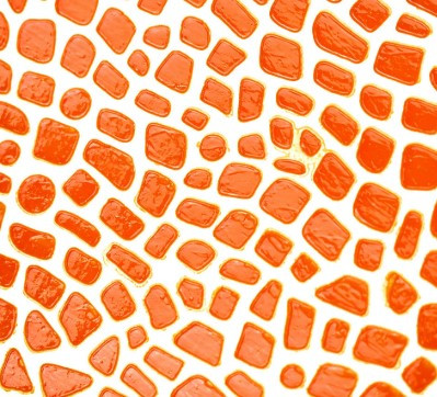 Cosmic Shimmer- Glossy Glaze - Orange Flame - 50ml Jar