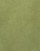 Cosmic Shimmer Botanical Stains by Sam Poole- Carrot Top Green