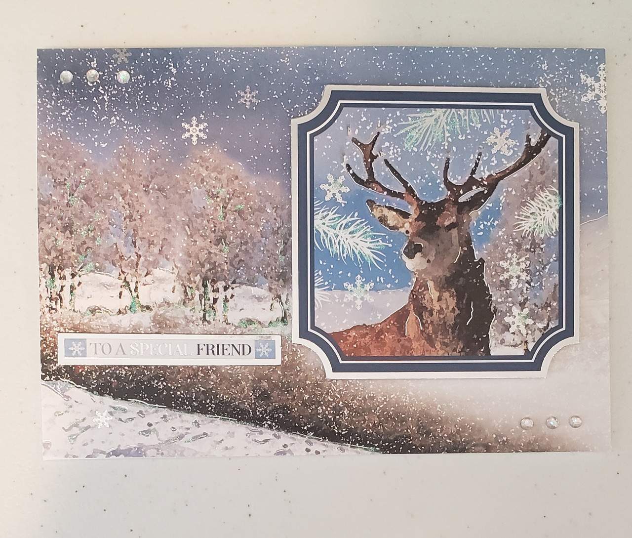 Live Stream Work Along Class Kit -- 2020 Seasonal Stag Card Kit - August 13, 2020