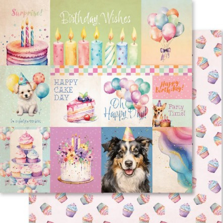 Paper Rose 6x6 Paper Collection - Birthday Fun