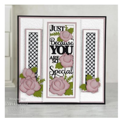 Creative Expressions- Sue Wilson- Slimline All-In-One- You Are So Special Craft Die