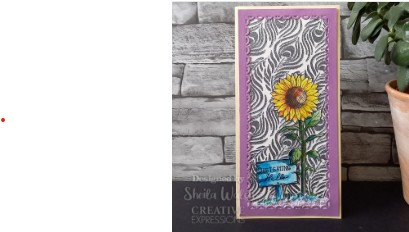 Creative Expressions- DL Stencil 4 in x 8 in- Peacock Feathers