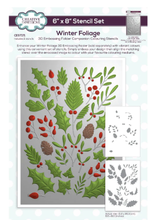 Creative Expressions- 6x8" Stencil Set of 2 -Winter Foliage