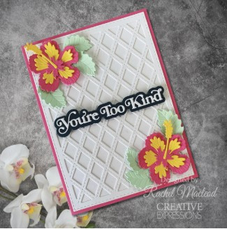 Creative Expressions- Sue Wilson- Mini Shadowed Sentiments- You're Too Kind Craft Die