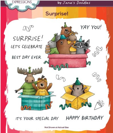 Creative Expressions- Jane's Doodles A6 Clear Stamp Set- Surprise!
