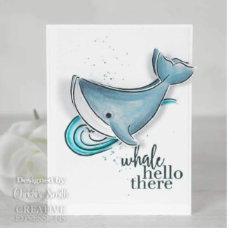 Creative Expressions- Bonnita Moaby A5 Clear Stamp Set- Summer Vibes