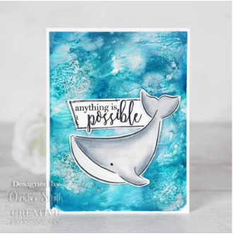 Creative Expressions- Bonnita Moaby A5 Clear Stamp Set- Summer Vibes