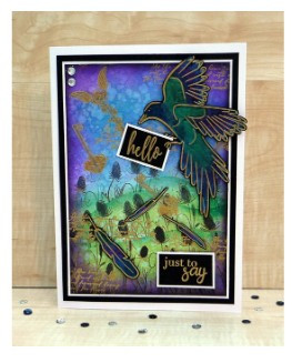 Creative Expressions- Bonnita Moaby A5 Clear Stamp Set- Spread Your Wings