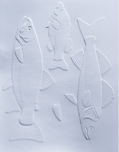 Memory Box- Open Studio- 3D Embossing Folder & Matching Dies- Freshwater Fish EF1028