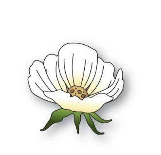 Memory Box Blushing Bloom Cutting Die 100% Steel