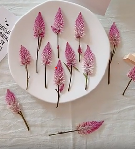 Pressed Plants 20pc Celosia Pressed Flower Sprigs Pressed005 Leaning Toward Purple