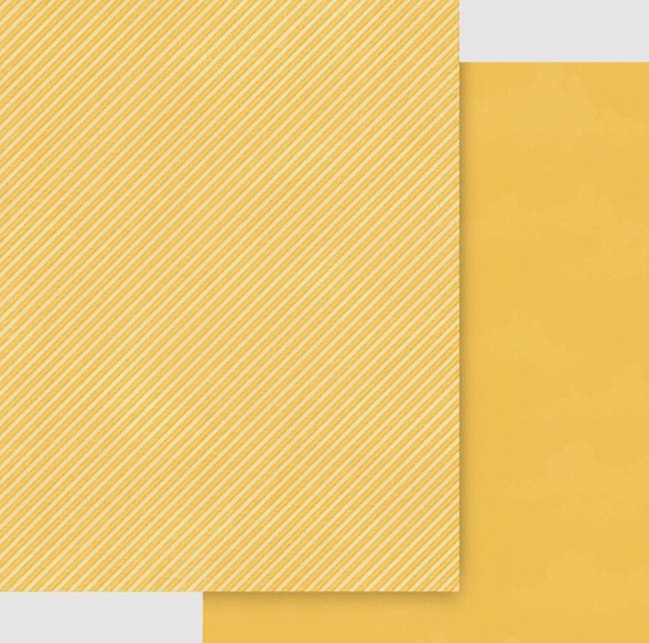 Graphic 45 8.5x11 Patterns & Solids Pack- Wonder of Oz