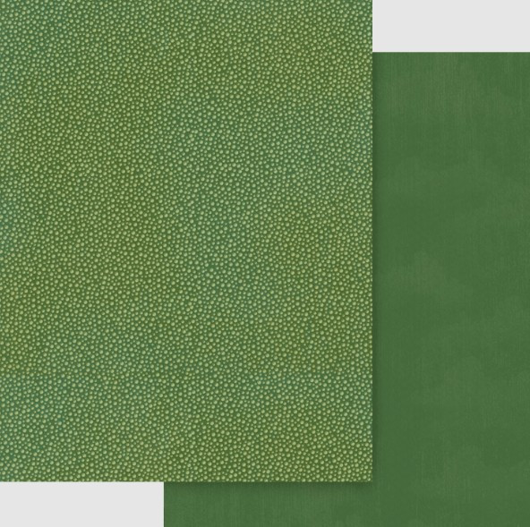 Graphic 45 8.5x11 Patterns & Solids Pack- Wonder of Oz