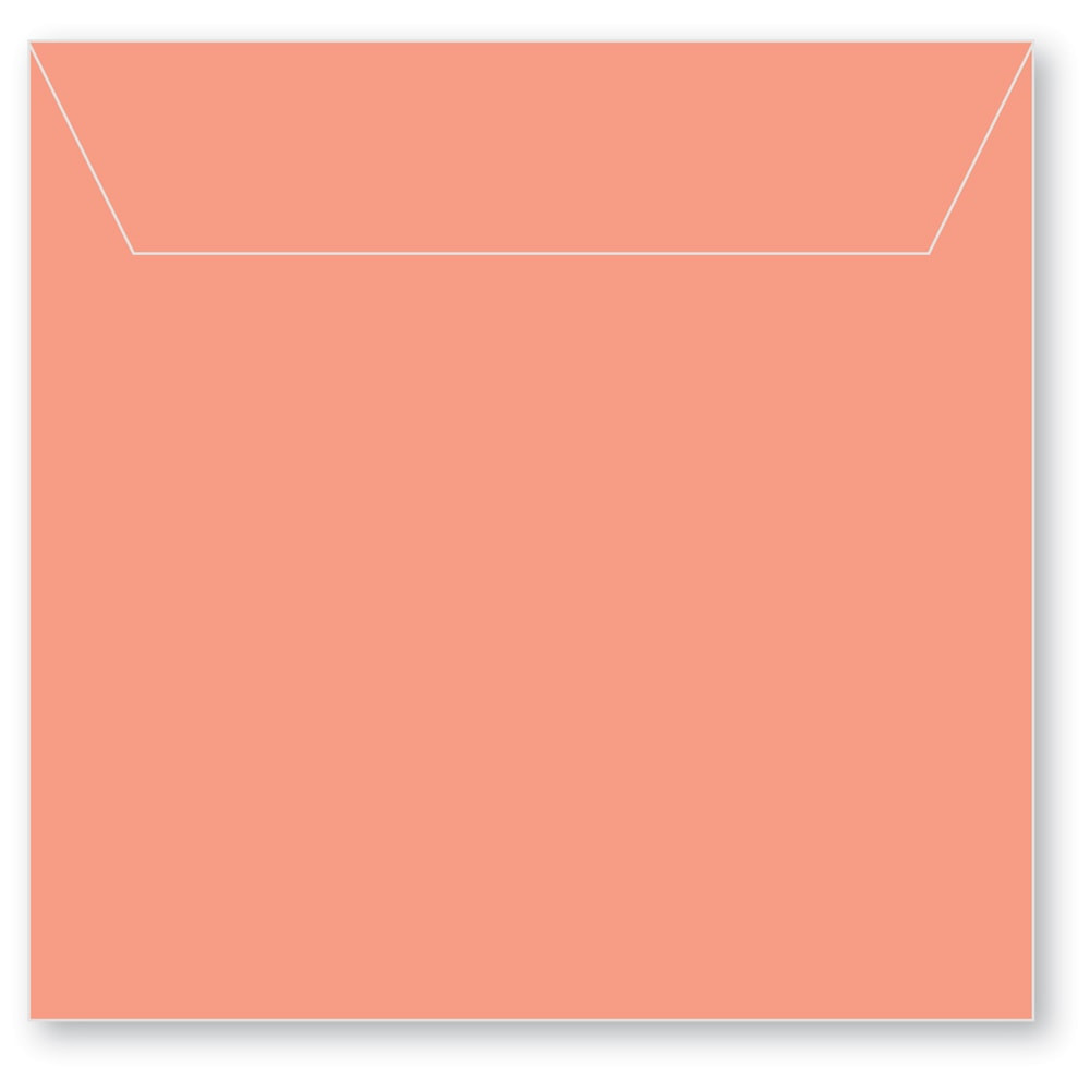 Memory Box- 50 Small Storage Pouch Poppy Red SB1021