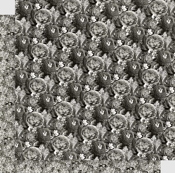 Graphic 45 12x12 Collection Pack- Curiouser & Curiouser