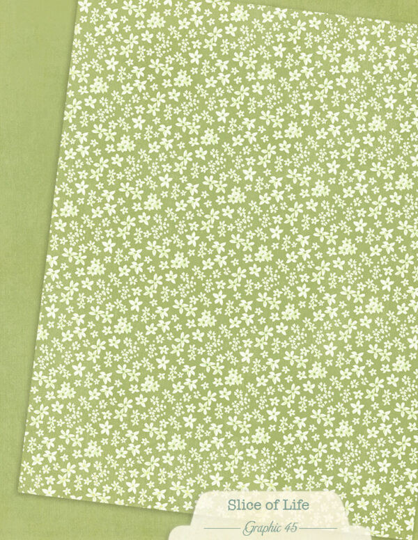 Graphic 45 Slice of Life 8.5 x 11 Patterns & Solids Pack