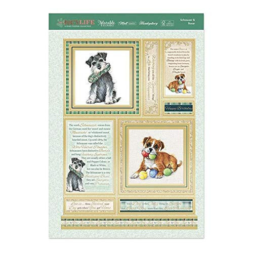 Hunkydory It's a Dog's Life- Schnauzer & Boxer Luxury 3-Piece Topper Set