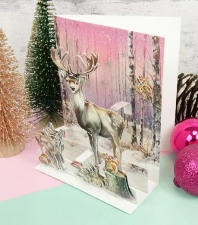 Hunkydory Crafts- Christmas Pop-Up Stepper Cards- Set 2