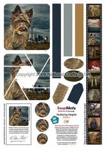 3-D Die-Cut Iris Decoupage WUTHERING HEIGHTS SnapShots