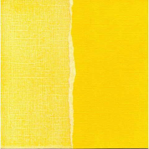 Darice Sandable Cardstock Tulip - 5 Sheets GX-Ys020