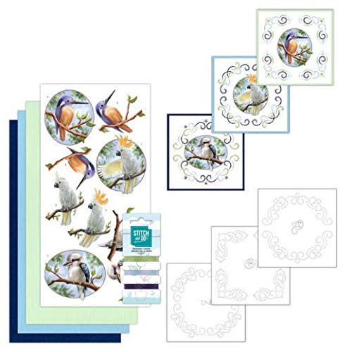 Find It Trading Stitch and Do Embroidery on Paper kit- Outback Birds - STDO130