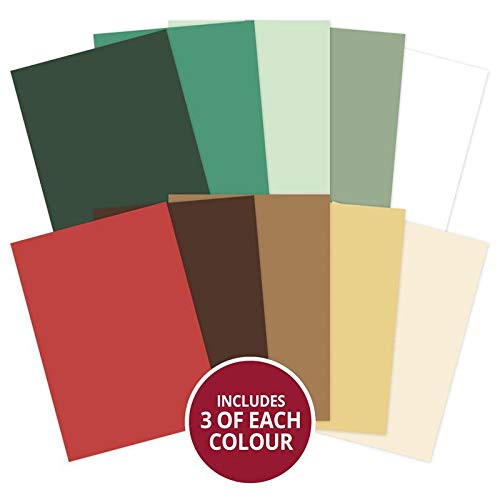 Hunkydory- Forever Florals - Poinsettia Matt-tastic Selection- MATT214