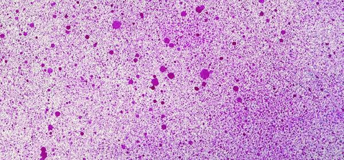 Cosmic Shimmer  Airless Mister - Cherry Pop