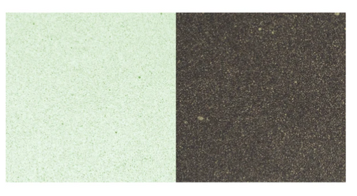 Cosmic Shimmer Airless Mister - Pearlescent Golden Sage