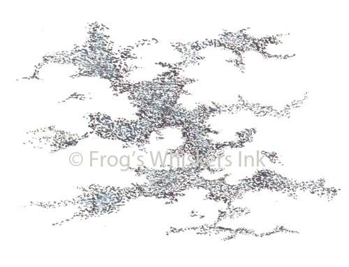 Frog Whiskers Rubber Cling Stamp E739 Around the Clouds