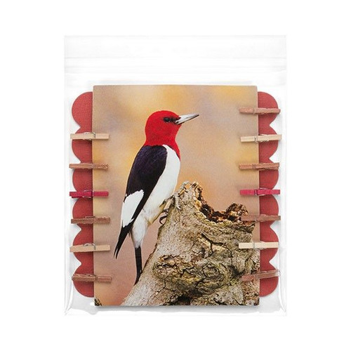 Clearbags B5X5M Clear Card Bags 100pc - 5 11/16inx 59/16in (One 5x5 Card and Env)