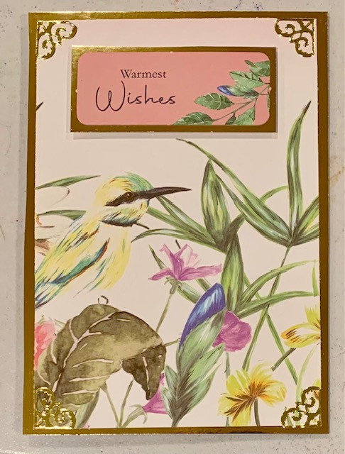 Live Stream Kanban Song Bird "Use Your Stash" Class Kit