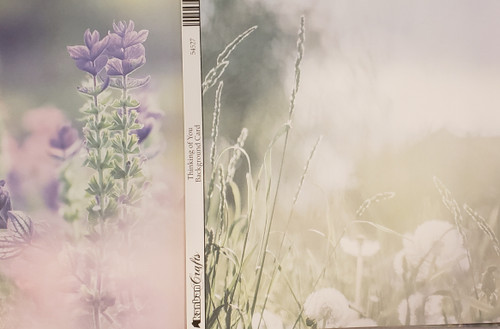 Kanban Thinking of You Cardstock- 24pc