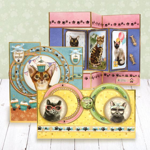 Hunkydory Crafts Curious Cats Luxury Topper Collection CURCATS101