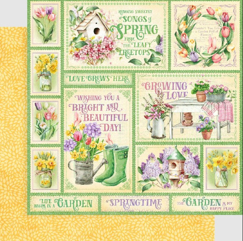 Graphic 45 8x8 Collection Pack- Grow with Love